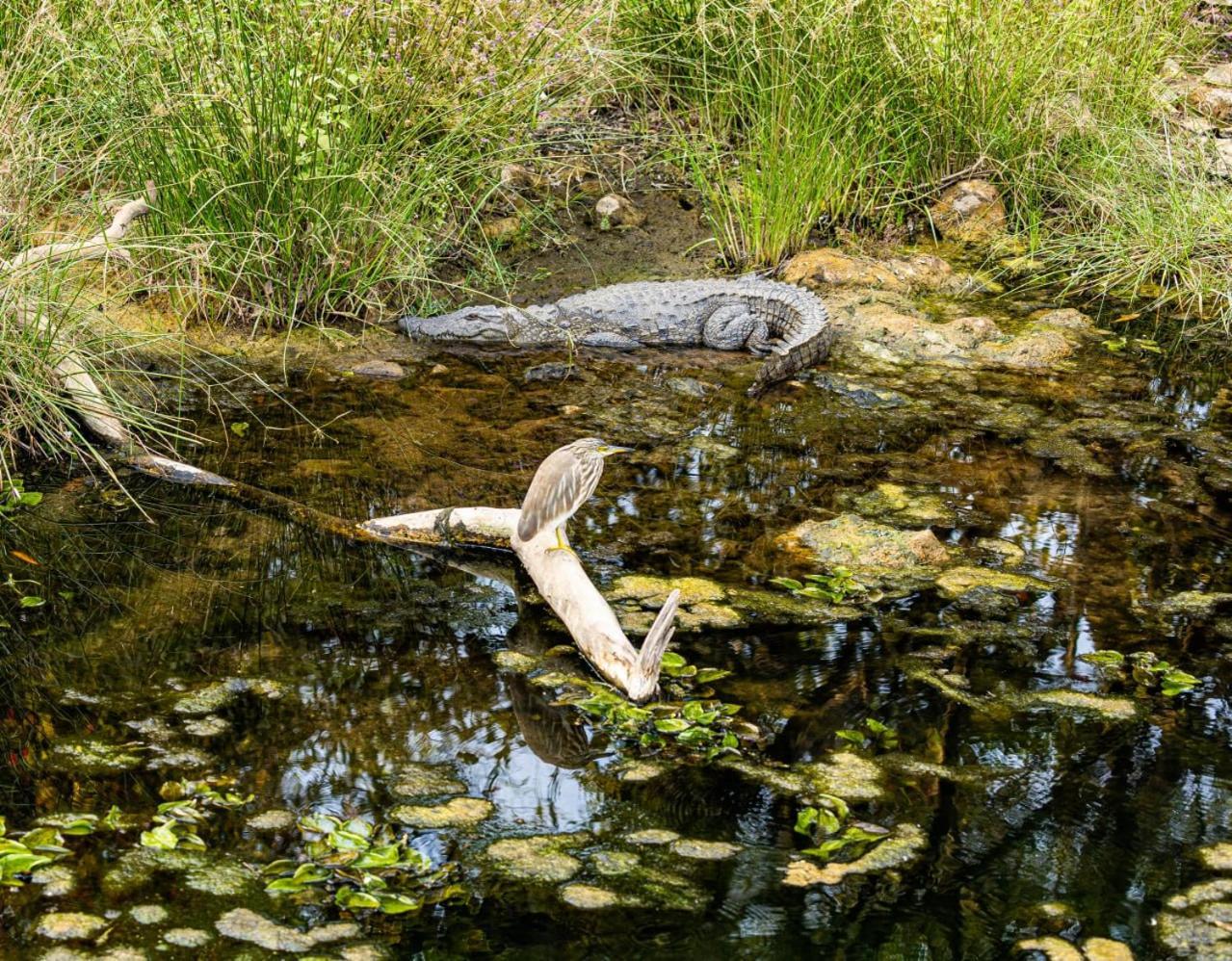 Gir Birding Lodge Гирский лес Экстерьер фото